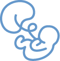 Baby + PLacenta Icon
